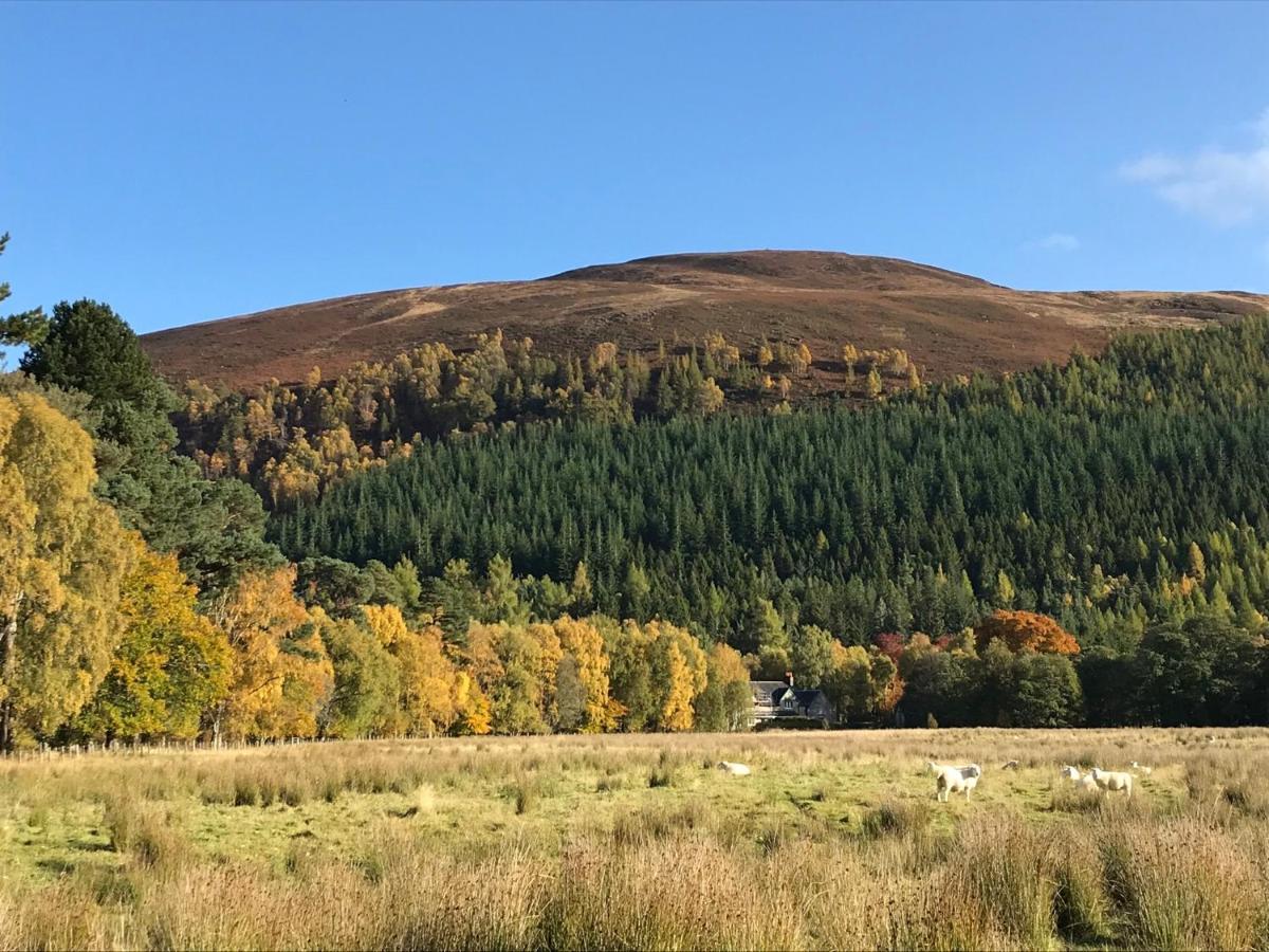 Rowan Cottage, Crannachcottages Garve Luaran gambar